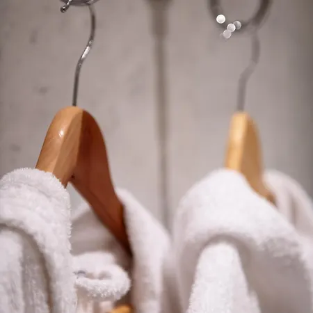 Hotel Relais Le Felci Executive