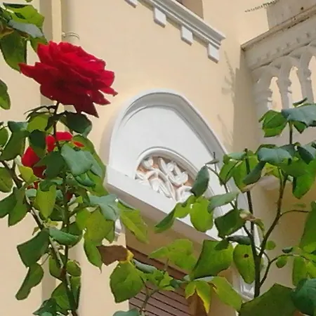 Relais Le Felci Executive